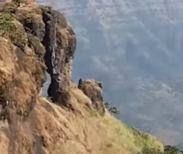 Elephant Point