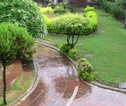Sunken Garden