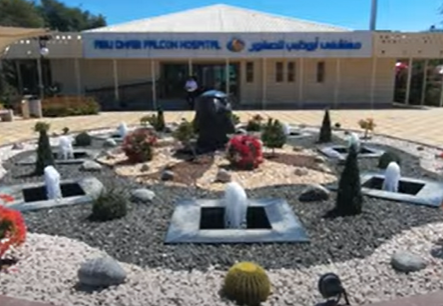 A walk through the Abu Dhabi Falcon Hospital: in Abu Dhabi