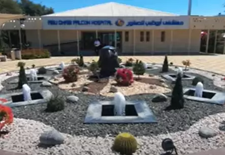 A walk through the Abu Dhabi Falcon Hospital: