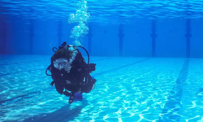 FINKICK ADVENTURES (BIZZYBAY)