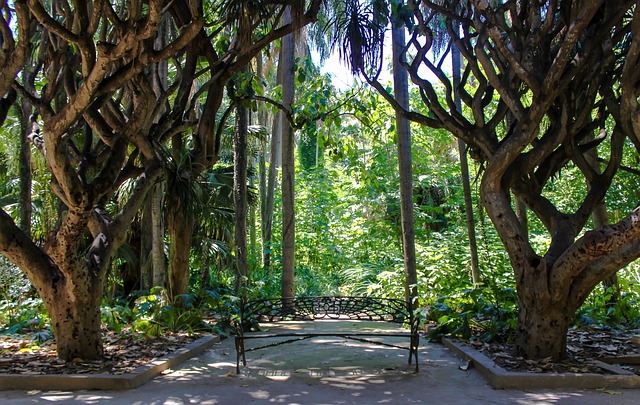 Botanical Garden