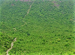 Kalrayan Hills in Villupuram