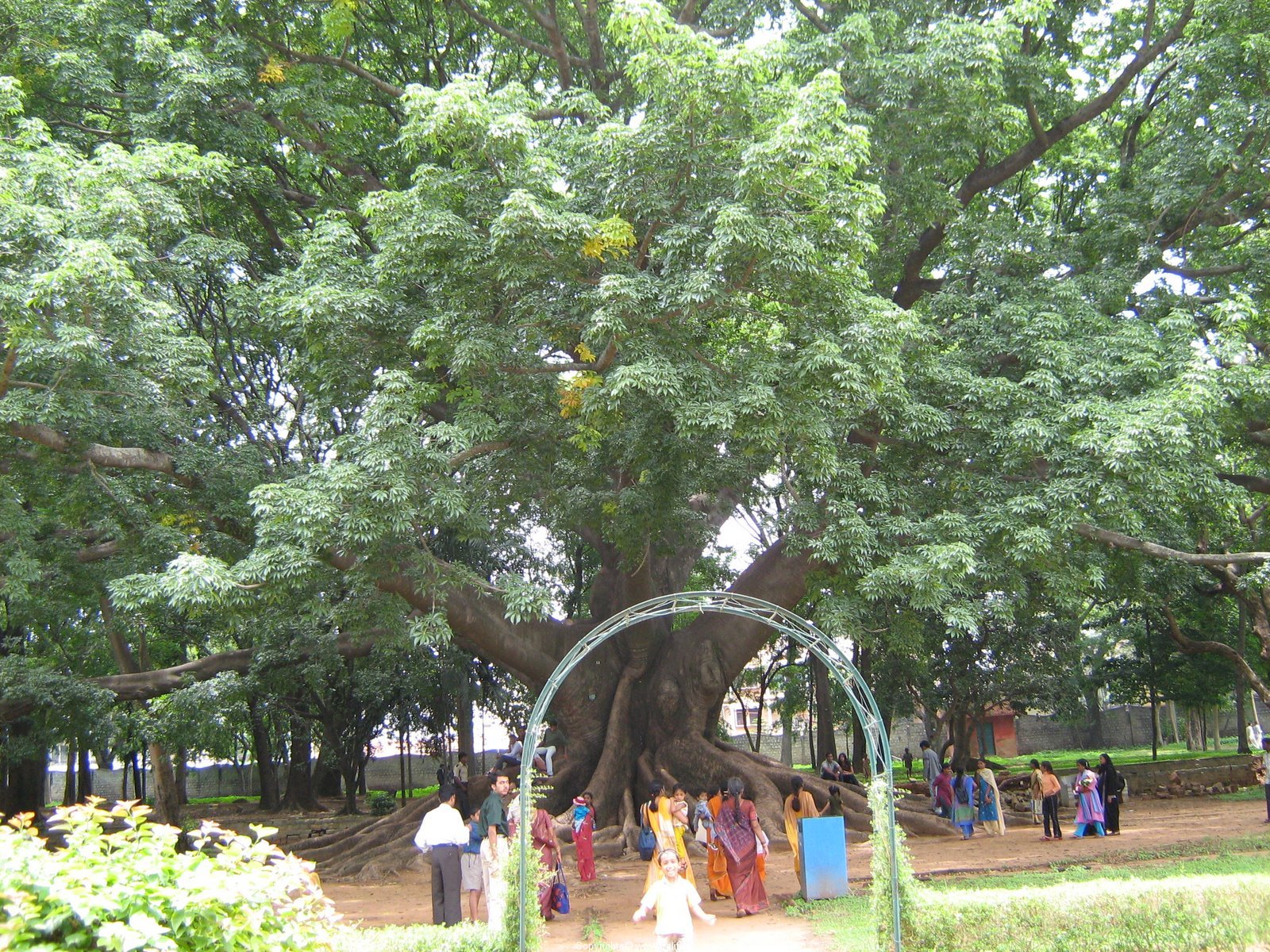 LAL BAGH  in Banglore
