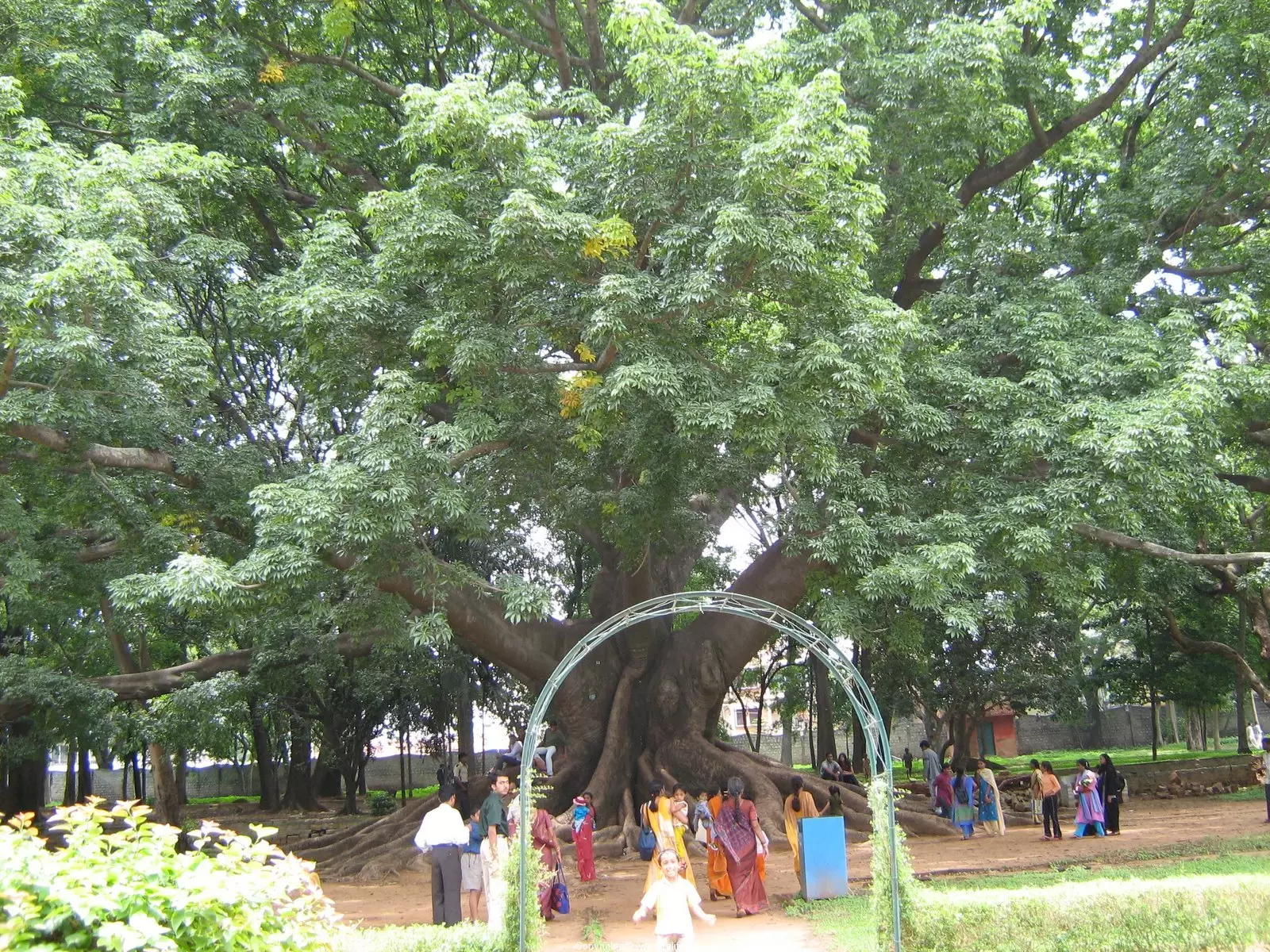 LAL BAGH 