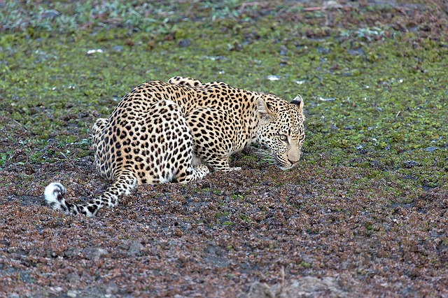 Chakrashila Wildlife Sanctuary  