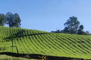 Meghamalai