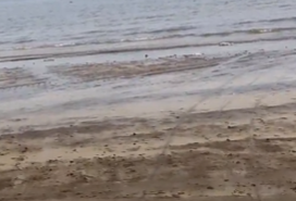Mandwa and Kihim Beach