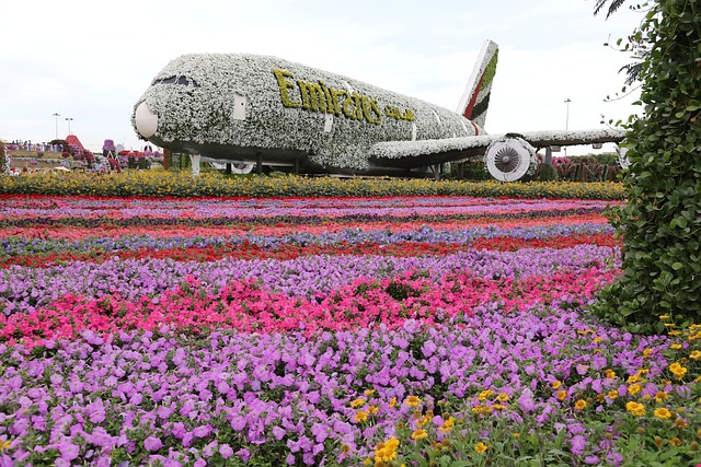 Dubai Miracle Garden: A Floral Wonderland in Dubai