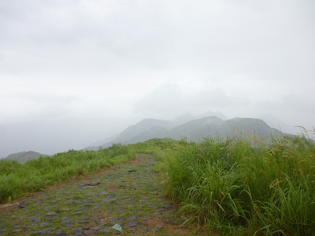 Jhatingri