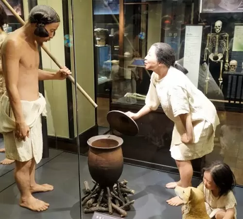 National Museum of Nature and Science