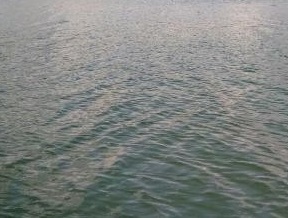 Kappil Lake