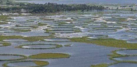 Loktak Lake in Bishnupur