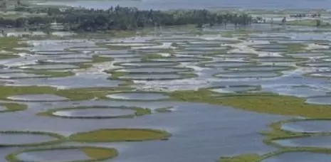 Loktak Lake