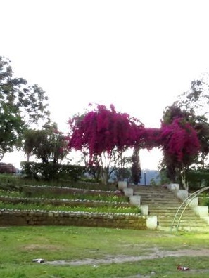 Rani Amrit Kaur Park