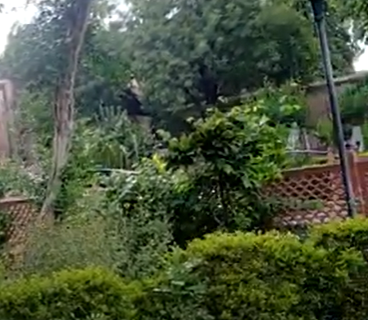Phool Bagh