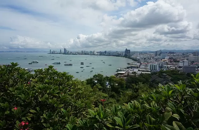 The Pattaya Viewpoint