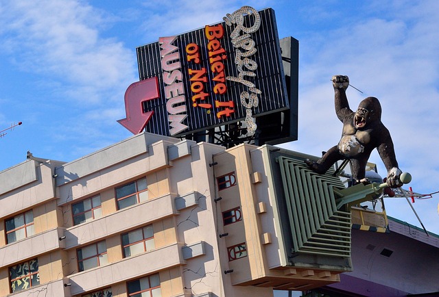Ripley's Believe It or Not! Museum