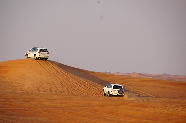 Desert safari in Abu Dhabi