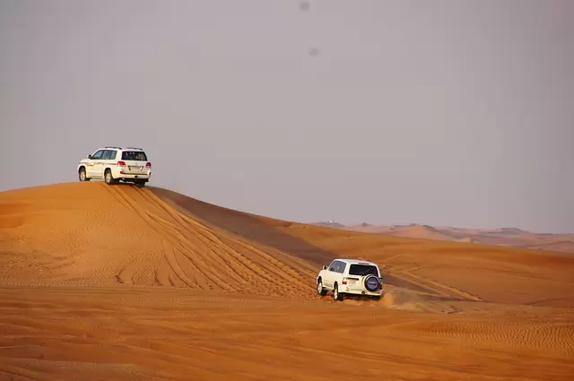 Desert safari