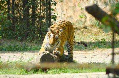 SAHYADRI WILDLIFE SANCTUARY
