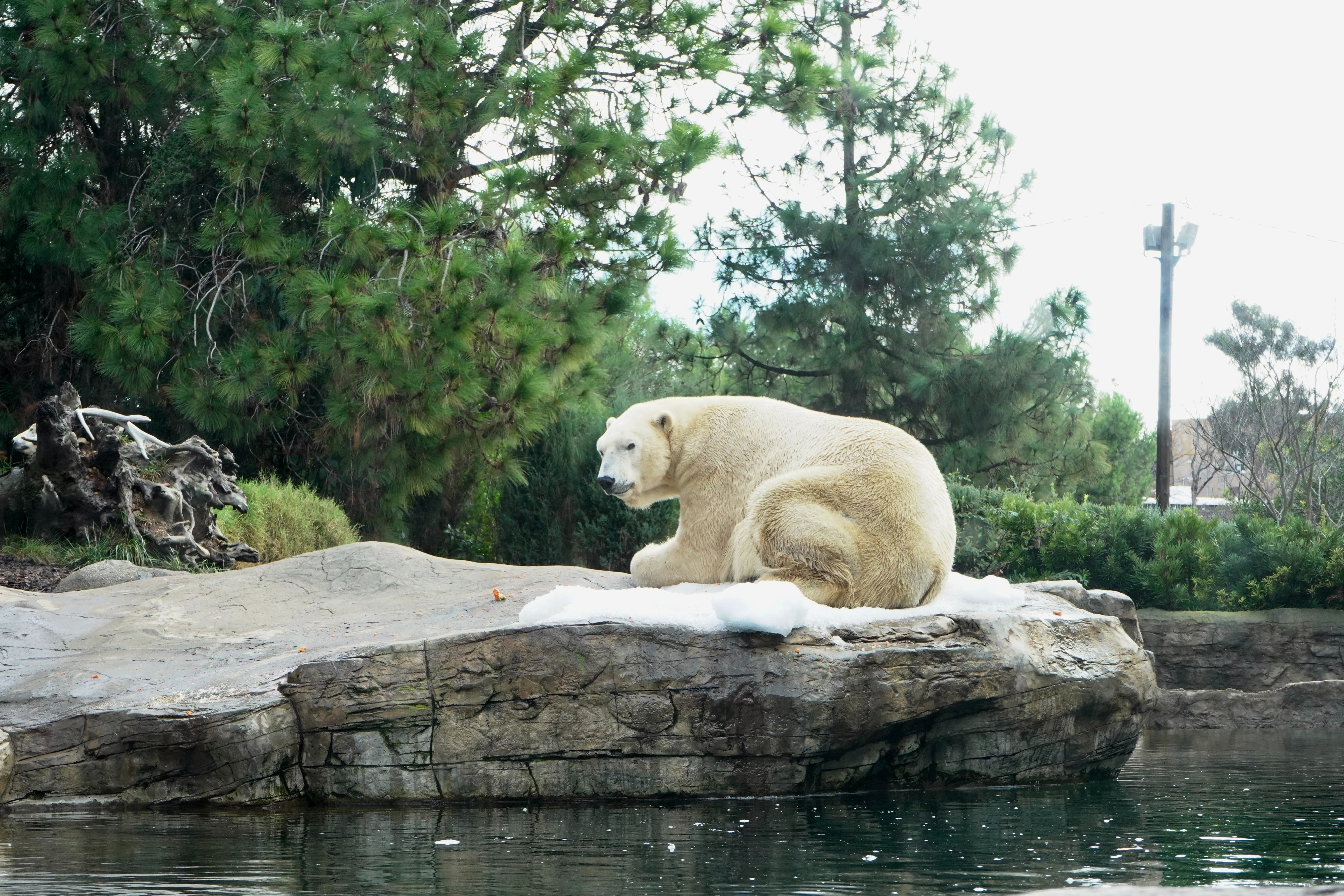 San Diego Zoo