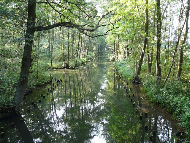 Agasthyamalai Biosphere Reserve