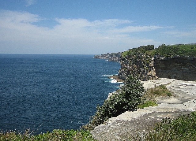 Royal National Park 