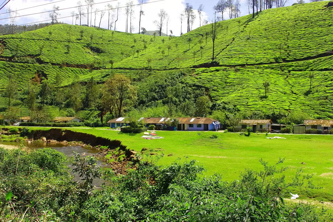 Tea and Spice Plantations