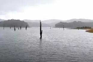 Thekkady Lake