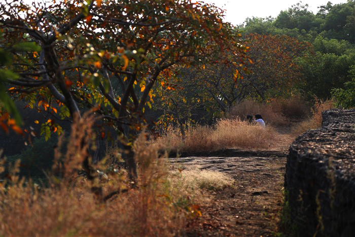 VETAL HILL