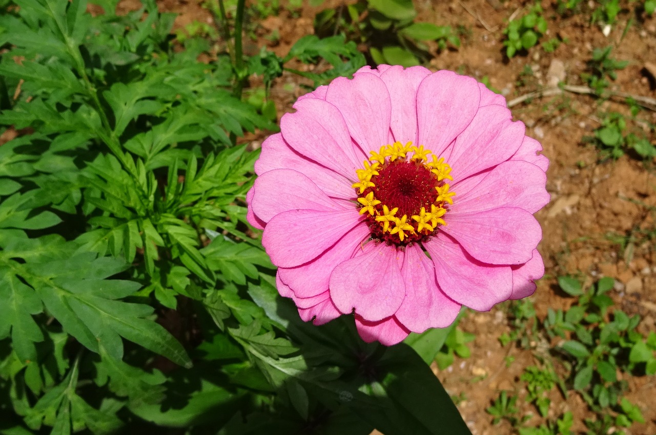 CHHATARPUR