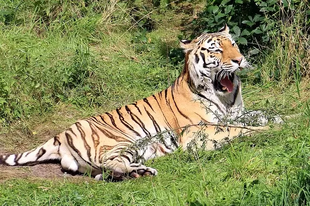 Periyar National Park