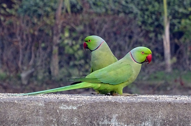 Delhi-Agra