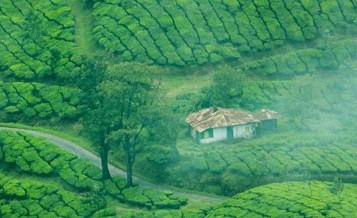 Kerala Holiday Package