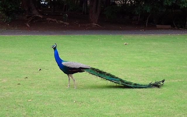Gujarat