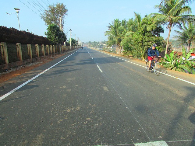 Go Go Goa