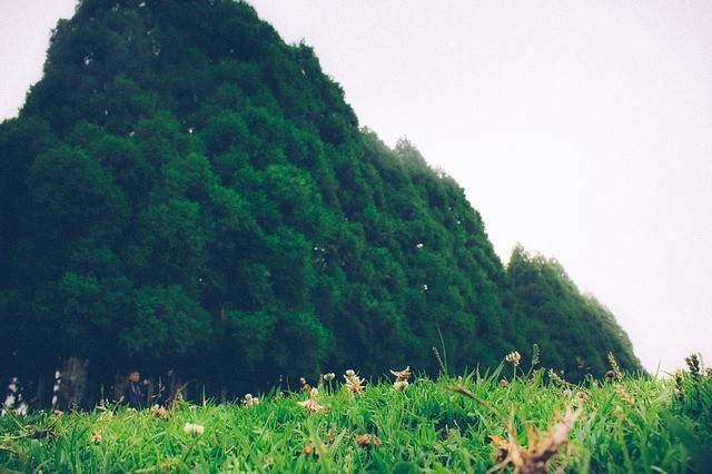 Assam Meghalaya Tour